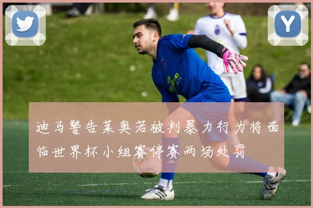 迪马警告莱奥若被判暴力行为将面临世界杯小组赛停赛两场处罚